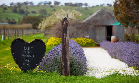 Hart Of The Barossa - Redcliffe Tourism 0
