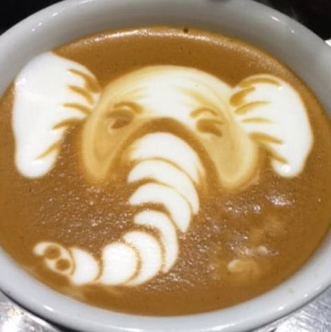 Cafenatics - Docklands - Redcliffe Tourism 0