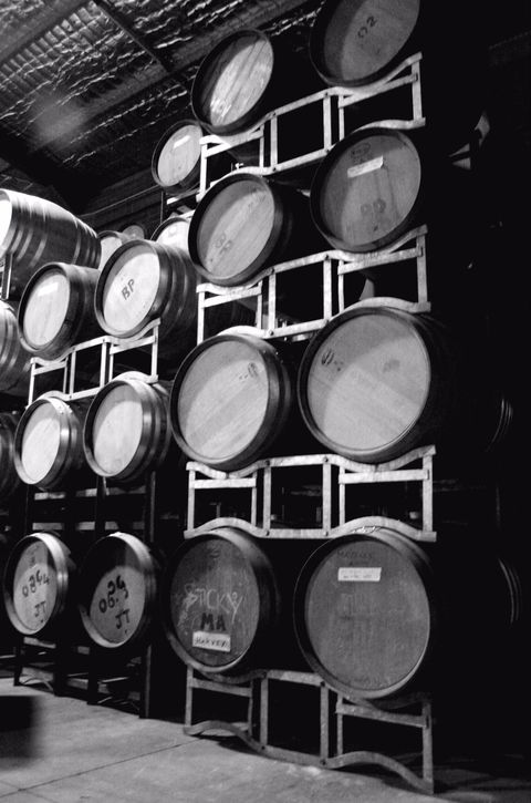 Tertini Wines - Redcliffe Tourism 1