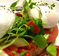 Montania Cafe Bar Restaurant - Redcliffe Tourism