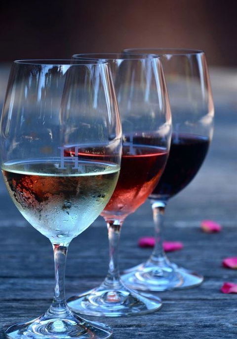 Vines Restaurant At Hollydene Estate - Redcliffe Tourism 8