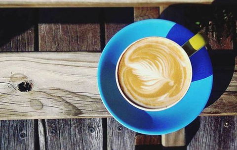 Lush Coffee Lounge - Redcliffe Tourism 16