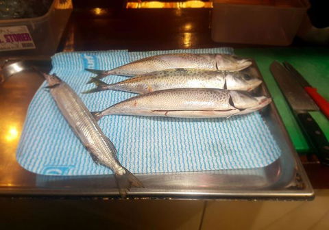 Anaya Restaurant And Tapas Bar - Redcliffe Tourism 23