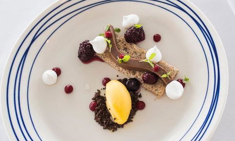 Wild Herring - Redcliffe Tourism 0