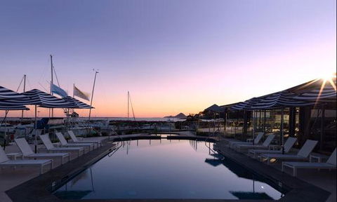 Wild Herring - Redcliffe Tourism 1