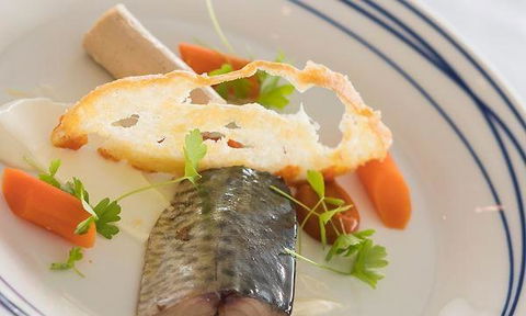 Wild Herring - Redcliffe Tourism 2