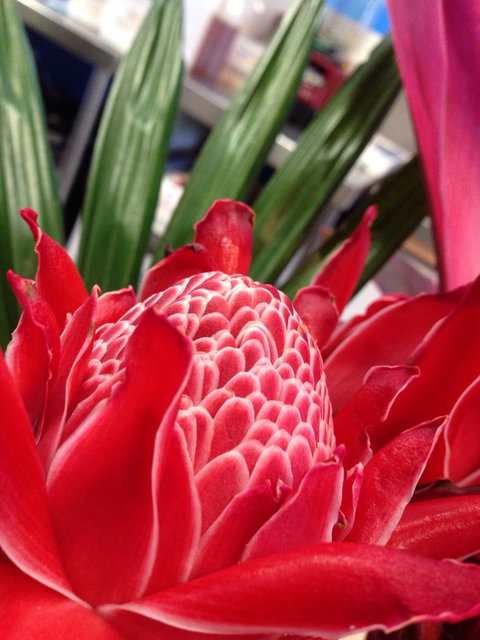 Ebb And Flow Cafe - Redcliffe Tourism 3