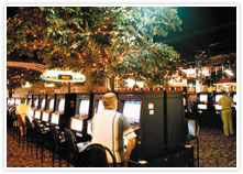 Mount Isa Irish Club - Redcliffe Tourism 3