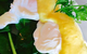 Coffeehouse Restaurant On Bolsover - thumb 3
