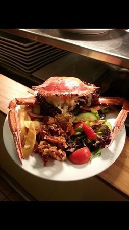 Safari Club Bar & Grill - Redcliffe Tourism 0