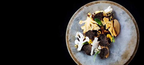 Qualia - Redcliffe Tourism 0