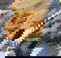 Chef's Catch - Redcliffe Tourism