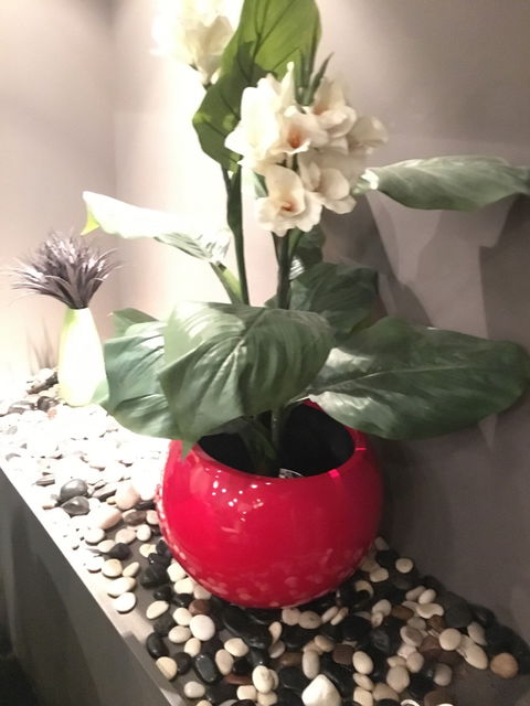 Phi Yen Vietnamese Restaurant - Redcliffe Tourism 8