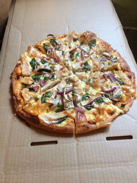 The Tuscan Fox - Redcliffe Tourism 4