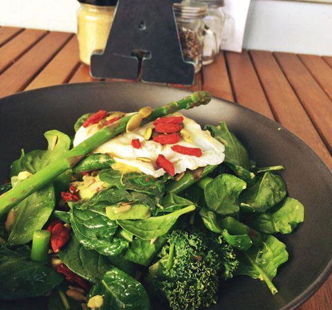 Jimmy's Bar & Restaurant - Redcliffe Tourism 12