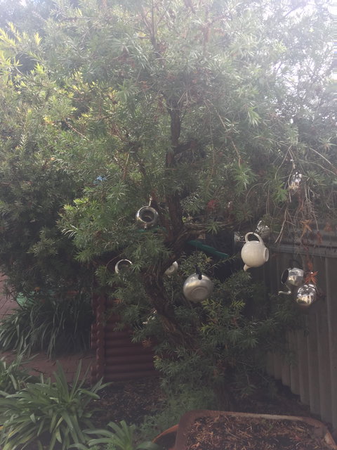 Dwellingup Blue Wren Cafe - Redcliffe Tourism 2