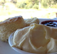 Tanglefoot Winery Cafe - Redcliffe Tourism