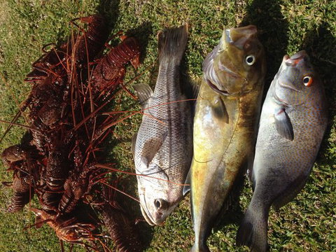 Ledge Point Country Club - Redcliffe Tourism 0