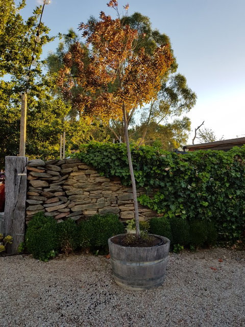 Barristers Block Cellar Door - Redcliffe Tourism 2