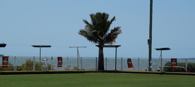 Hawthorn SA Redcliffe Tourism