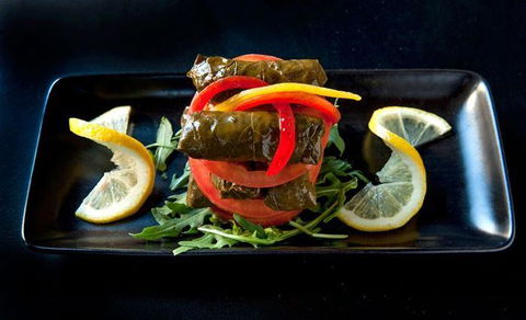 Fishy But Nice - Redcliffe Tourism 11