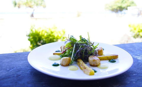 Pine & Bamboo Chinese Restaurant - Redcliffe Tourism 23