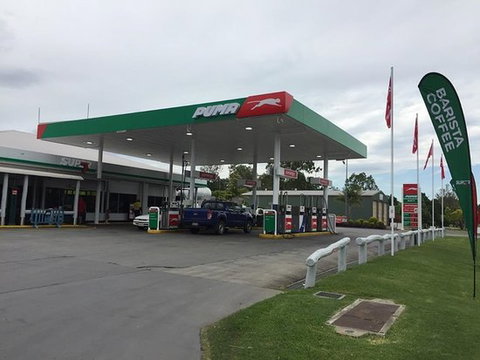 Puma Aratula - Redcliffe Tourism 0