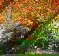 The Woods Ravensbourne - Redcliffe Tourism