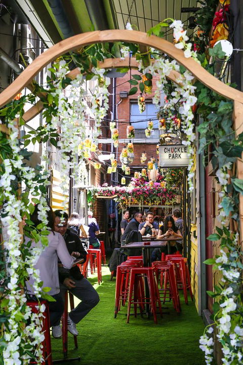 Chuckle Park Bar - Redcliffe Tourism 4