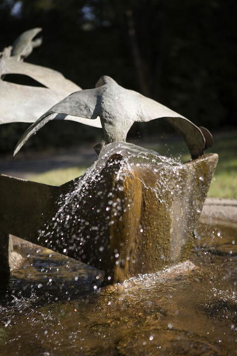 University House - ANU - Redcliffe Tourism 30