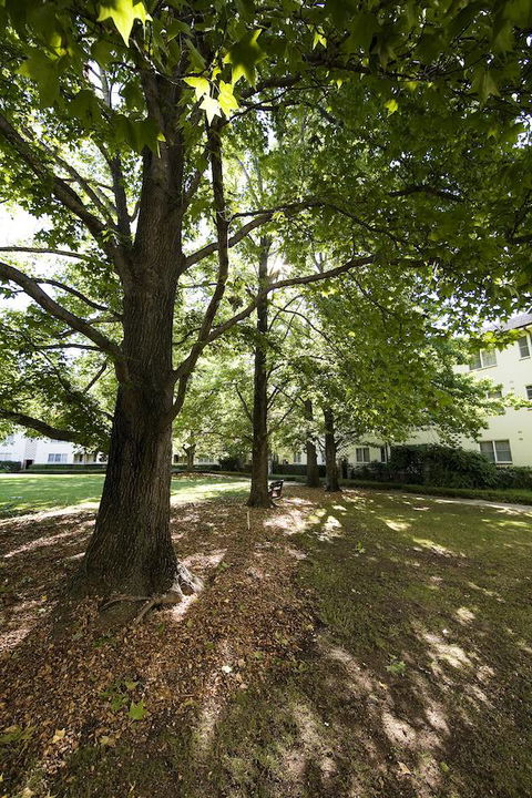 University House - ANU - Redcliffe Tourism 28