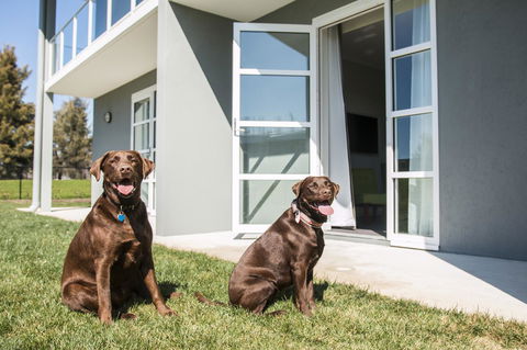 Abode Narrabundah - Redcliffe Tourism 20
