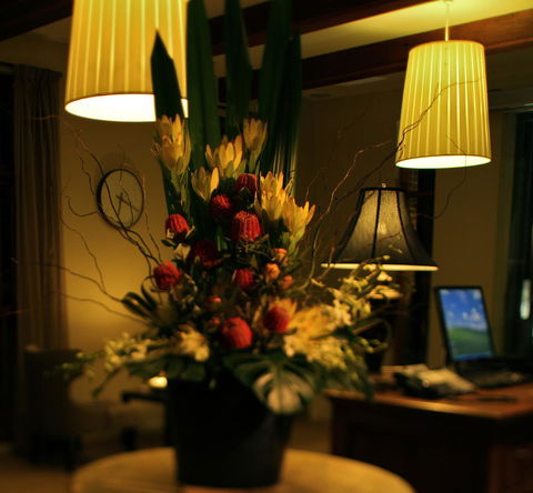 De Russie Boutique Hotel - Redcliffe Tourism 26