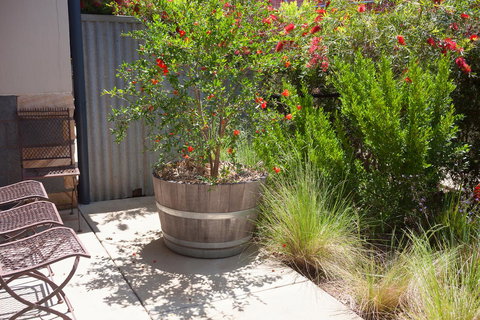 One Of A Kind Apartments - Redcliffe Tourism 15