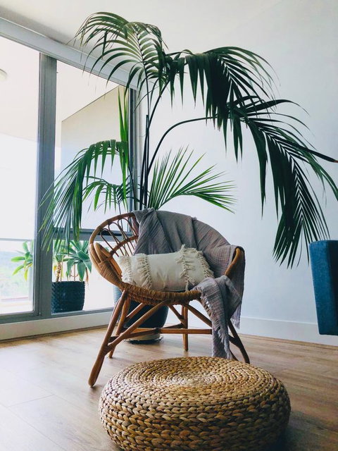 Staying Places - The Avenue - Redcliffe Tourism 14