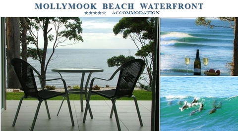 Mollymook Beach Waterfront - Redcliffe Tourism 1