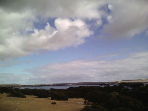 Wallaby Retreat - Redcliffe Tourism 2