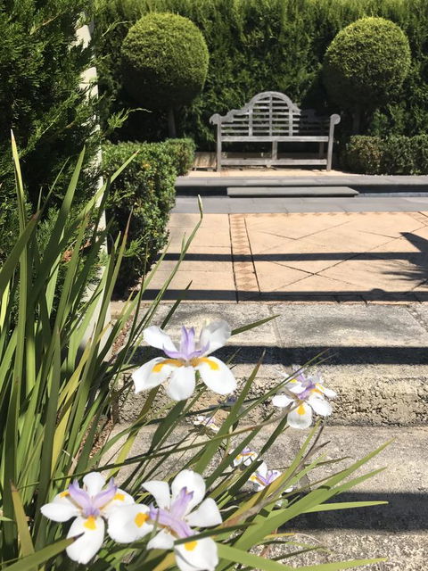 S T U D I O 22 Peaceful Retreat With Garden Views - Redcliffe Tourism 13