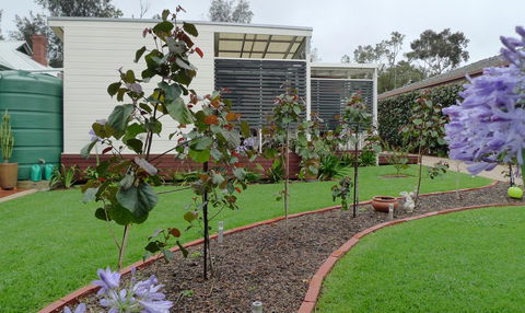 Grassmere House Magill - Redcliffe Tourism 19