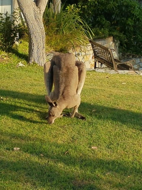 \'Point Break\' Your Waterfront Break At The Point - Redcliffe Tourism 12