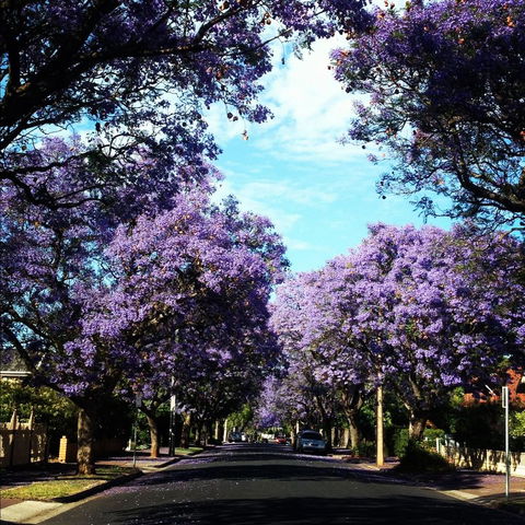 Monaco Court Apartment Adelaide - Redcliffe Tourism 0