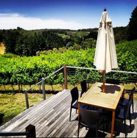 Monaco Court Apartment Adelaide - Redcliffe Tourism 27