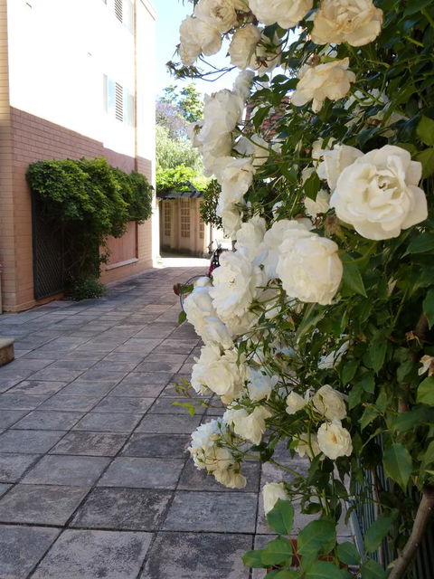 Monaco Court Apartment Adelaide - Redcliffe Tourism 19