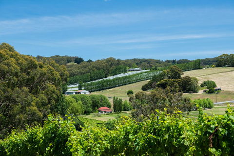 The Other House - Redcliffe Tourism 3