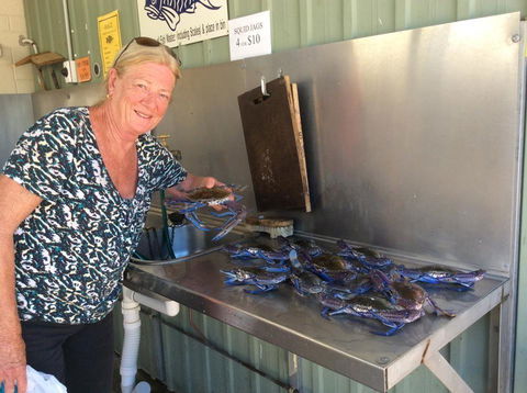 Ceduna Foreshore Caravan Park - Redcliffe Tourism 28