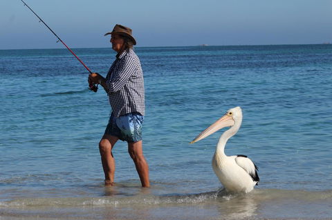 Ceduna Foreshore Caravan Park - Redcliffe Tourism 21