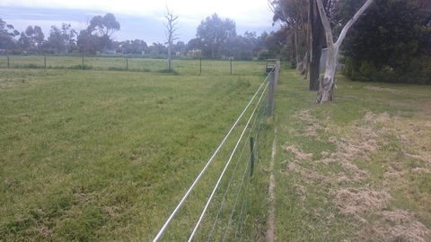 Gaerwood B&B - Redcliffe Tourism 17