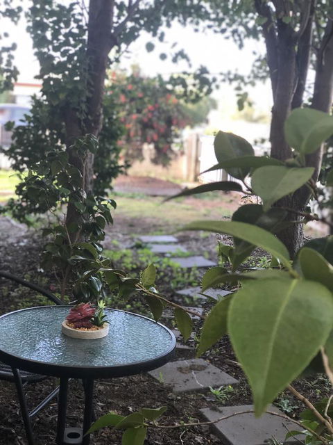 Olive\'s Cottage - Redcliffe Tourism 2