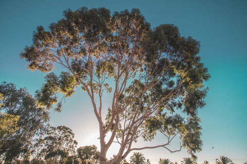 Seppelts View Cabins - Redcliffe Tourism 24
