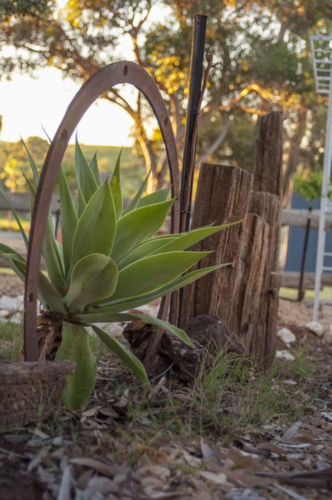 Seppelts View Cabins - Redcliffe Tourism 37